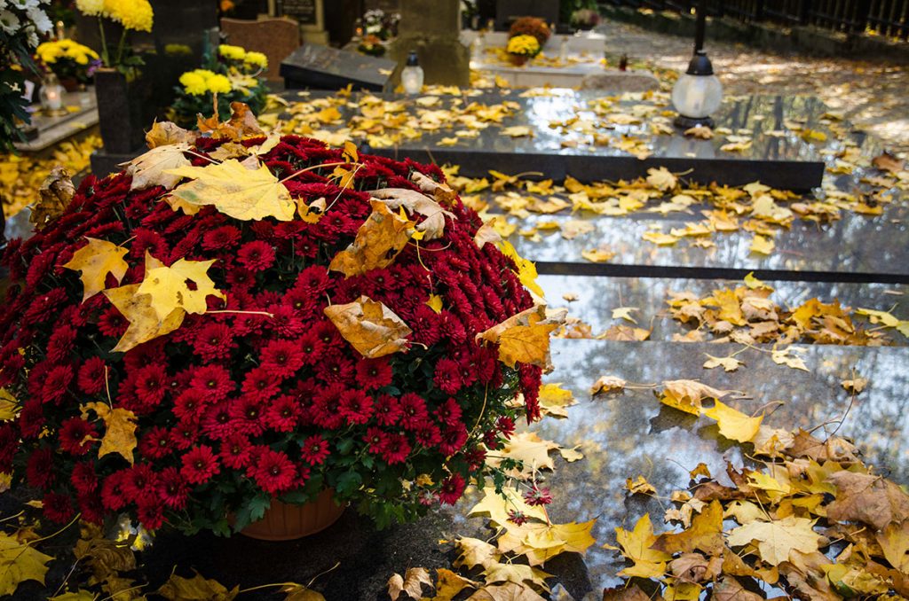 halottak napja virágok temetőbe (2)