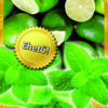 Oázis Lime citromverbéna