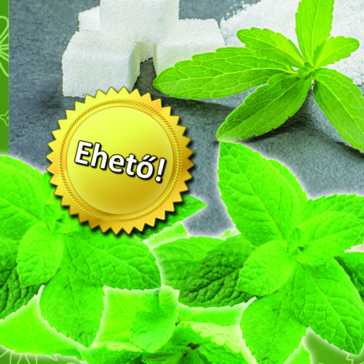 Mi a stevia és hogyan használják a cukorbetegségben