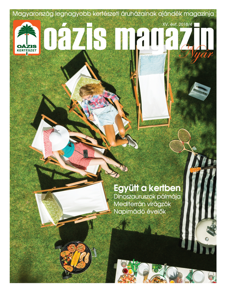 Oázis Magazin 2018/4. Nyár