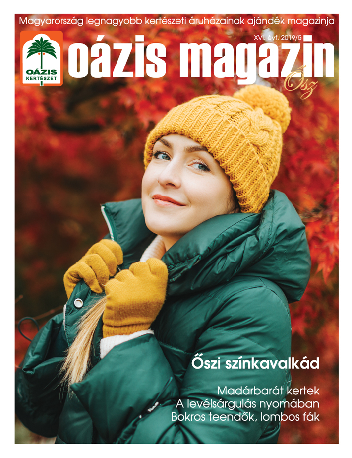 Oázis Magazin 2019/5. Ősz