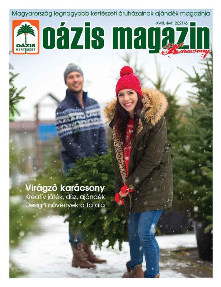 Oázis Magazin 2021/6. Karácsony