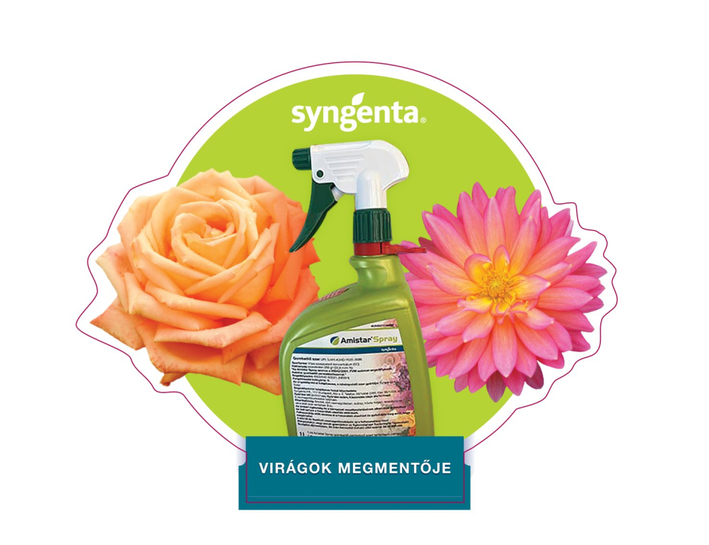 Amistar Spray gombaölő szer: hatékony védelem a virágok és dísznövények számára
