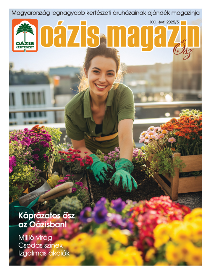 Oázis Magazin 2025/5. Ősz