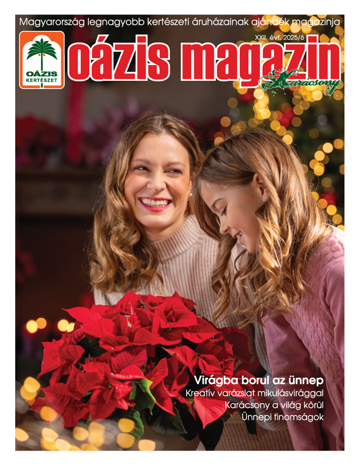 Oázis Magazin 2025/6. Karácsony