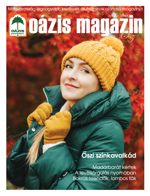 Oázis Magazin 2019/5. Ősz