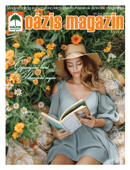 Oázis Magazin 2024/4. Nyár