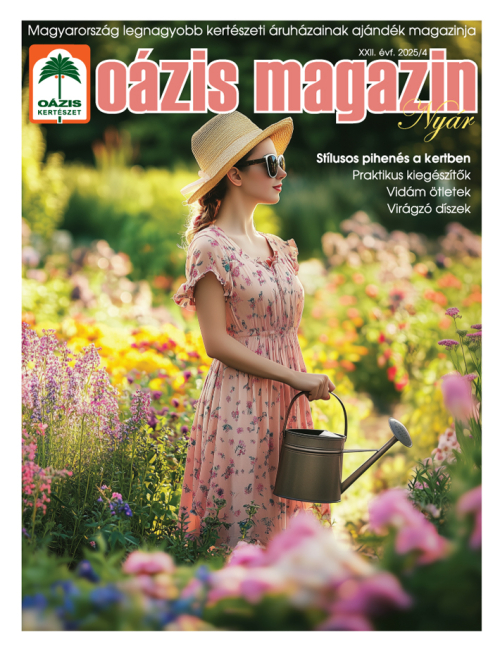 Oázis Magazin 2025/4. Nyár