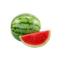 Termékek > Élő növények > Zöldség és gyümölcs palánták > További palánták