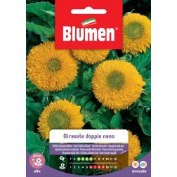Blumen T&ouml;rpe duplavir&aacute;g&uacute; napraforg&oacute; vetőmag