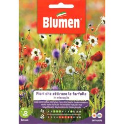Blumen Pillang&oacute;csalogat&oacute; vir&aacute;gmix vetőmag