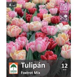 O&aacute;zis Tulipa Foxtrot Mix tulip&aacute;n vir&aacute;ghagyma &ouml;ssze&aacute;ll&iacute;t&aacute;s 12 db