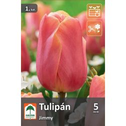 O&aacute;zis Tulipa Jimmy tulip&aacute;n vir&aacute;ghagyma 5 db