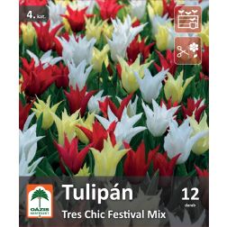 O&aacute;zis Tulipa Tres Chic Festival Mix tulip&aacute;n vir&aacute;ghagyma &ouml;ssze&aacute;ll&iacute;t&aacute;s 12 db