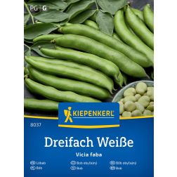 Kiepenkerl Dreifach Weiße Lóbab vetőmag