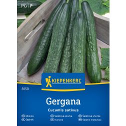 Kiepenkerl Gergana Salátauborka vetőmag