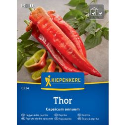 Kiepenkerl Thor, F1 Paprika vetőmag