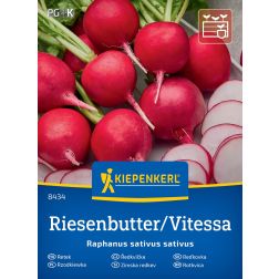 Kiepenkerl Vitessa Hónapos retek vetőmag