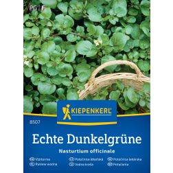 Kiepenkerl Echte Dunkelgrüne Vízitorma vetőmag
