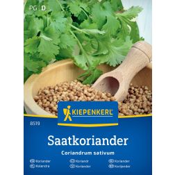 Kiepenkerl Koriander vetőmag