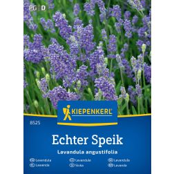 Kiepenkerl Echter Speik Levendula vetőmag