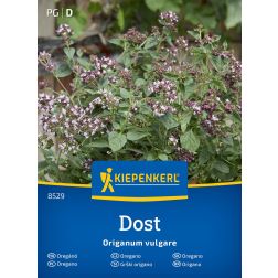 Kiepenkerl Dost Oregánó vetőmag