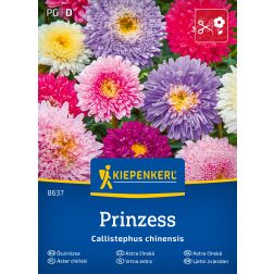 Kiepenkerl Prinzess-Mix Őszirózsa vetőmag