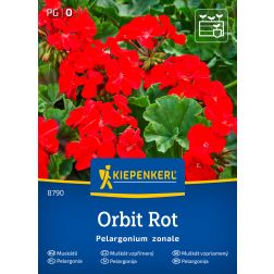 Kiepenkerl Orbit, F1 (piros) Muskátli vetőmag