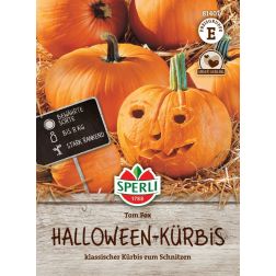 Sperli Tom Fox halloween-tök vetőmag E" 81407