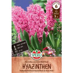 Sperli Hyacinthus Pink Pearl jácint virághagyma 3 db