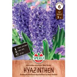 Sperli Hyacinthus Blue Jacket jácint virághagyma 3 db