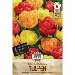 Sperli Tulipa Gef&uuml;llte Mischung tulip&aacute;n vir&aacute;ghagyma 7 db