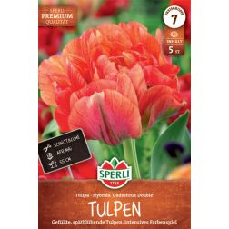 Sperli Tulipa Gudoshnik Double tulipán virághagyma 5 db