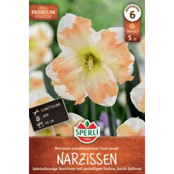 Sperli Narcissus Cum Laude n&aacute;rcisz vir&aacute;ghagyma 5 db