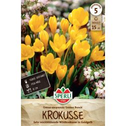 Sperli Crocus Golden Bunch krókusz virághagyma 15 db