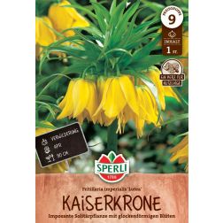 Sperli Fritillaria Lutea császárkorona virághagyma 1 db