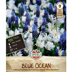 Sperli Mischung Muscari + Anemone  vir&aacute;ghagyma &ouml;ssze&aacute;ll&iacute;t&aacute;s 20 db