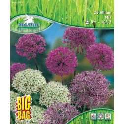 Pegasus BigBag Allium d&iacute;szhagyma vir&aacute;ghagyma kever&eacute;k 25 db