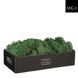 Dekoratív moha sötétzöld színben 350 gr