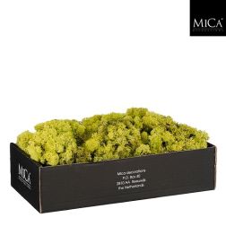 Dekoratív moha világoszöld színben 350 gr