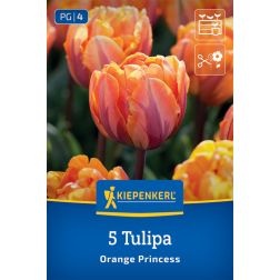 Kiepenkerl Tulipa Orange Princess tulipán virághagyma 5 db