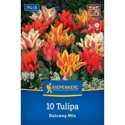 Kiepenkerl Tulipa Balcony Mix tulipán virághagyma összeállítás 10 db