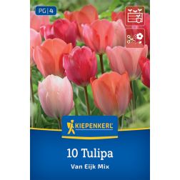 Kiepenkerl Tulipa Van Eijk Mix tulipán virághagyma összeállítás 10 db
