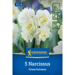 Kiepenkerl Narcissus Cheerfulness nárcisz virághagyma 5 db