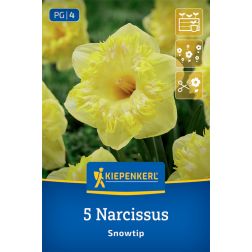 Kiepenkerl Narcissus Snowtip nárcisz virághagyma 5 db