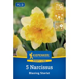Kiepenkerl Narcissus Blazing Starlet nárcisz virághagyma 5 db