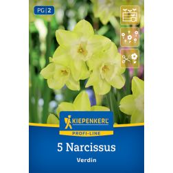 Kiepenkerl Narcissus Verdin nárcisz virághagyma 5 db