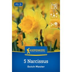Kiepenkerl Narcissus Dutch Master nárcisz virághagyma 5 db