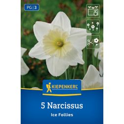 Kiepenkerl Narcissus Ice Follies nárcisz virághagyma 5 db