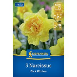 Kiepenkerl Narcissus Dick Wilden nárcisz virághagyma 5 db